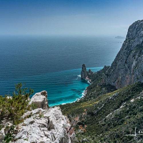 Selvaggio Blu SuAccargiu