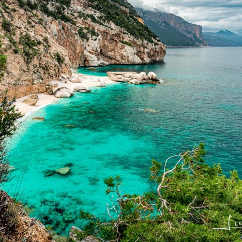 Selvaggio Blu SuAccargiu