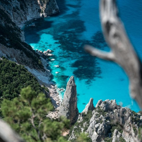 Selvaggio Blu SuAccargiu