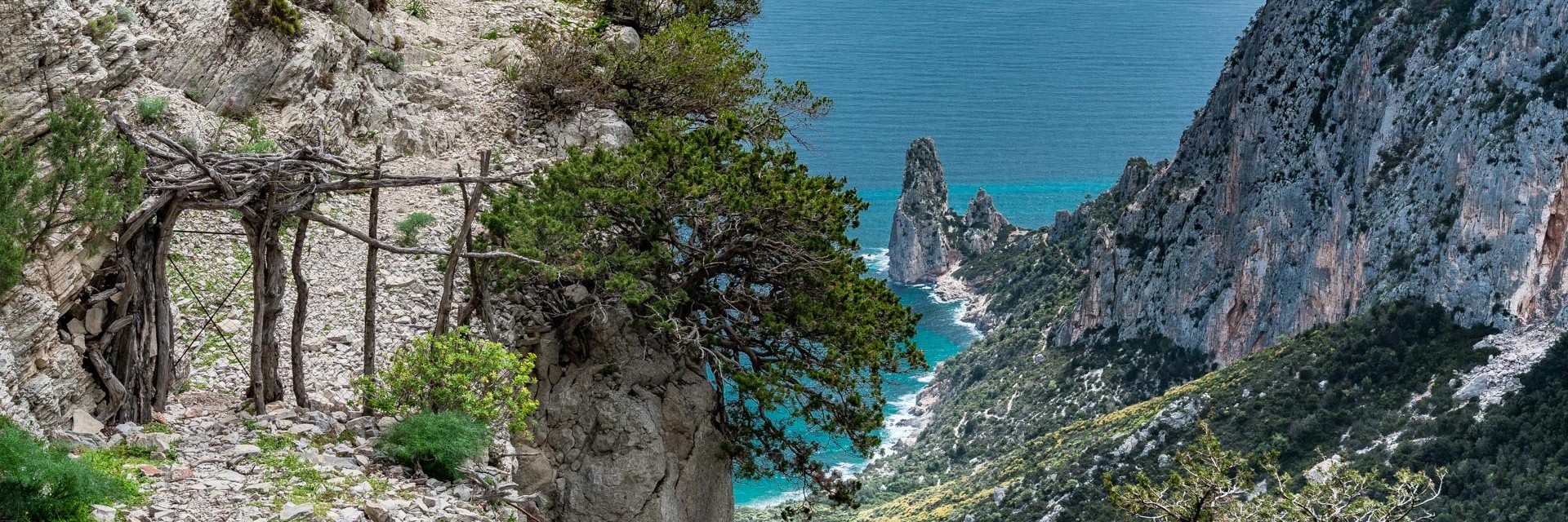 Selvaggio Blu SuAccargiu