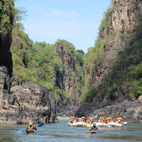 Shearwater Zimbabwe 