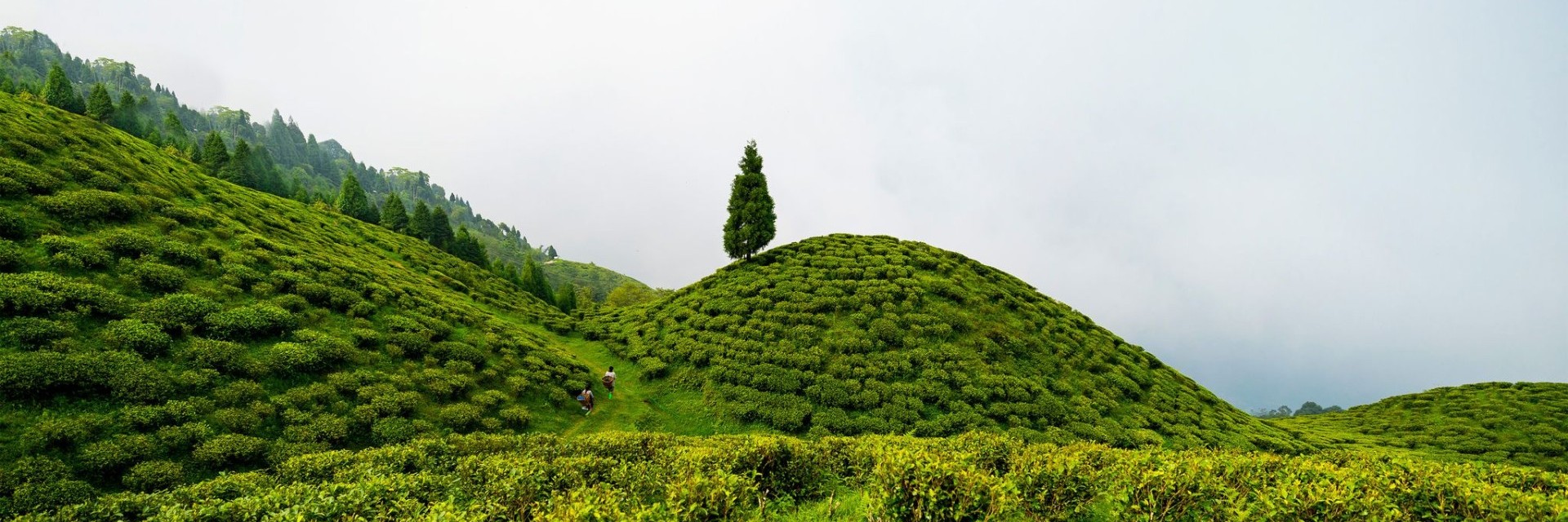 SIkkim
