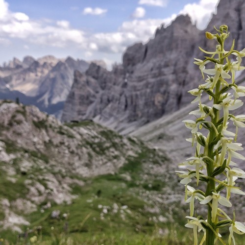 Dolomiti Oltre Piave