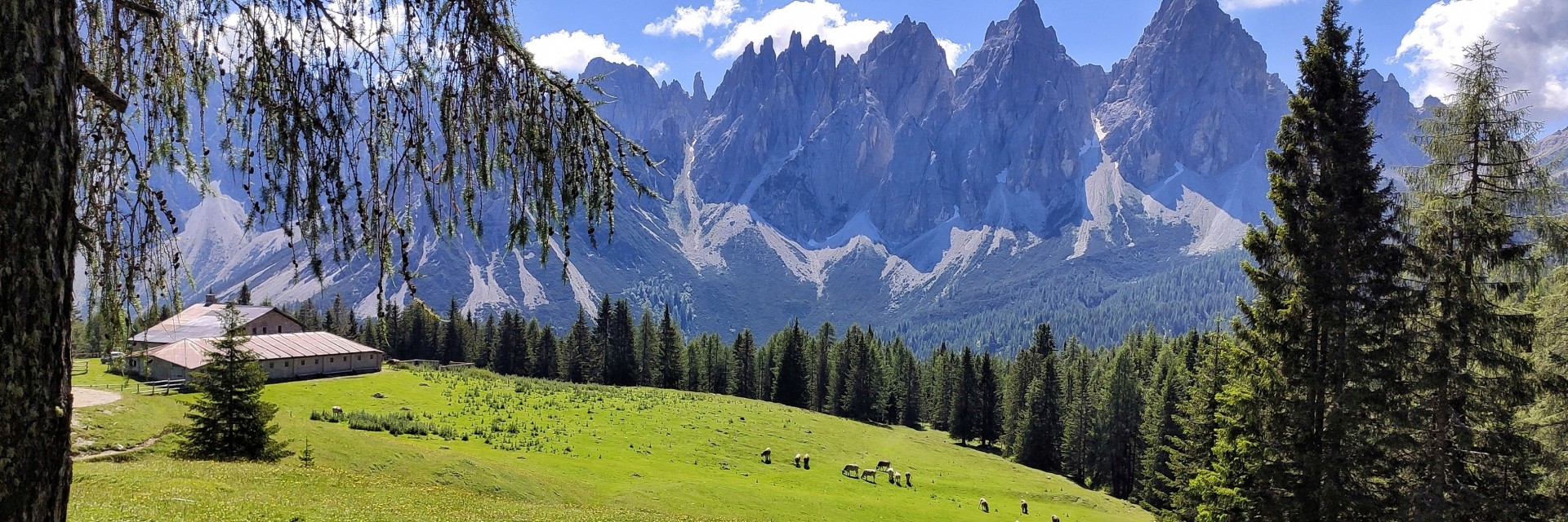 Dolomiti Oltre Piave