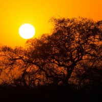 Sud Africa Natura Selvaggia