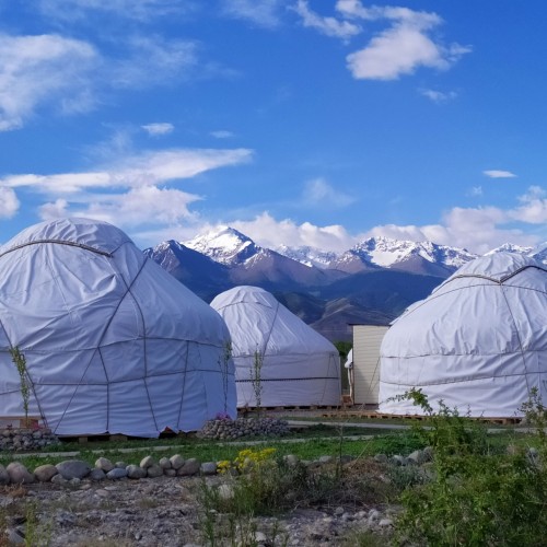 Tamga Yurt Camp