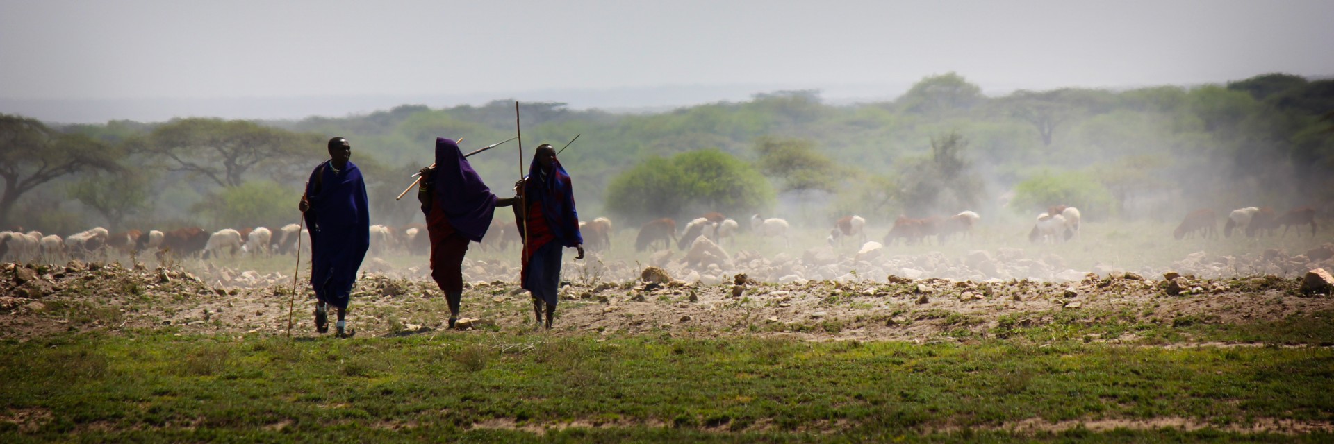 Tanzania