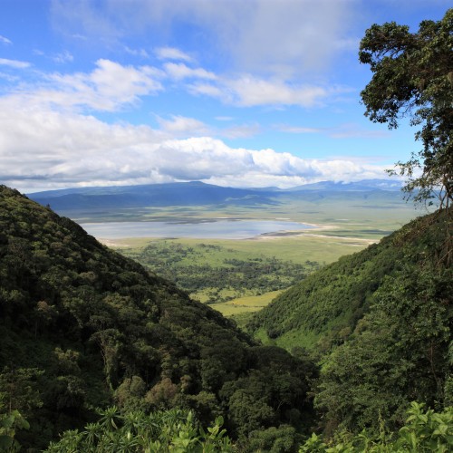 Tanzania (ngorongoro)
