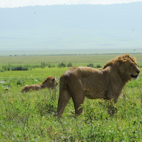 Tanzania