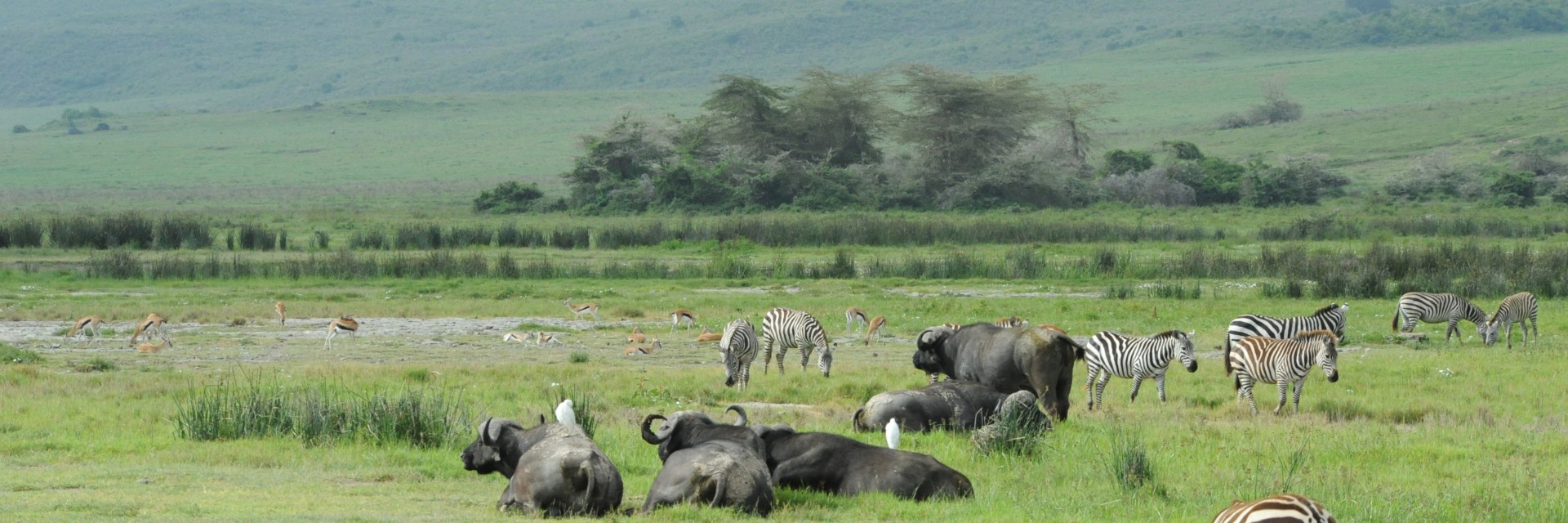 Tanzania
