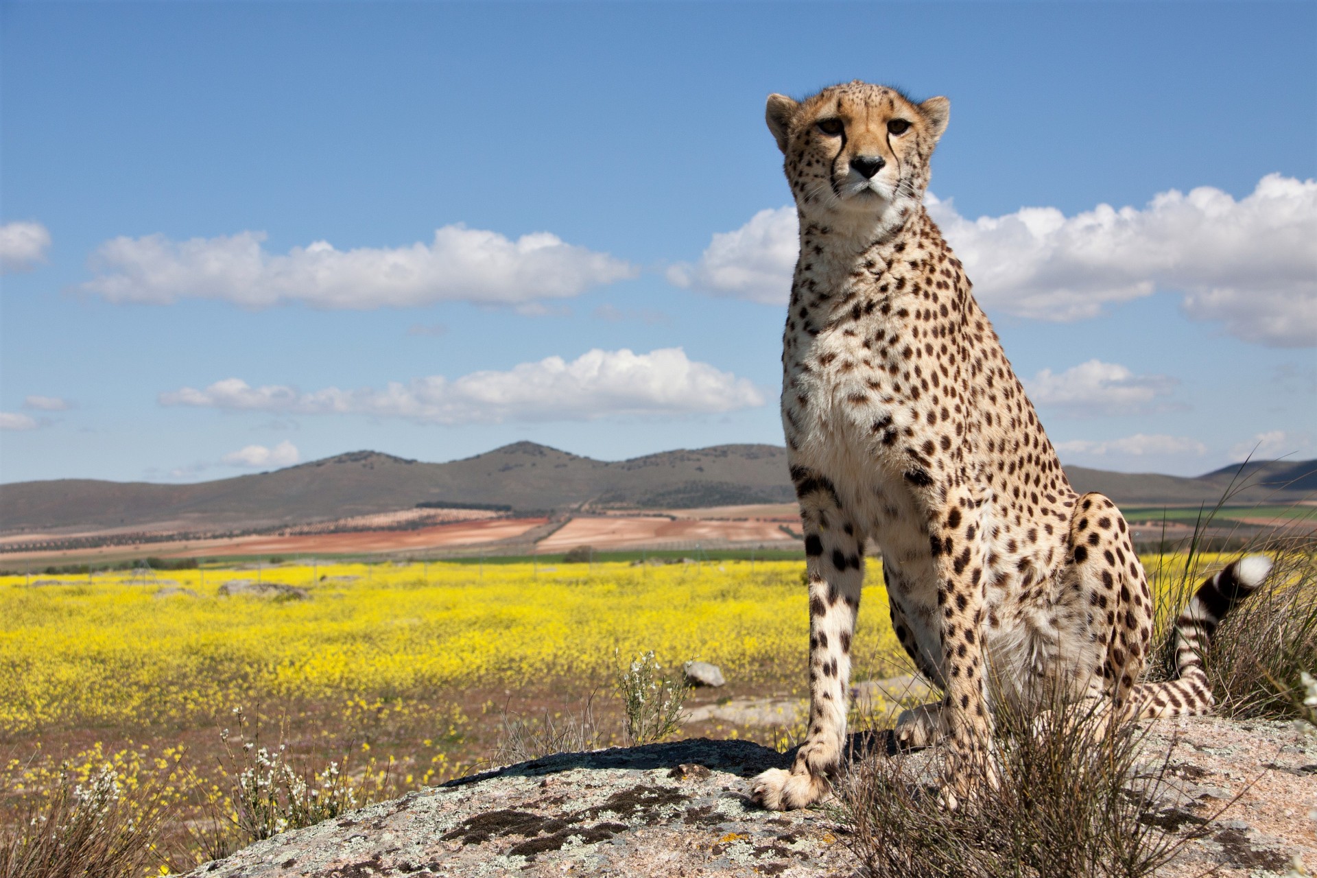 Tanzania