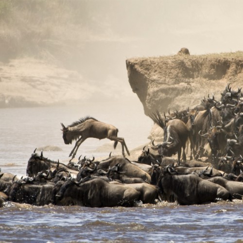 Tanzania