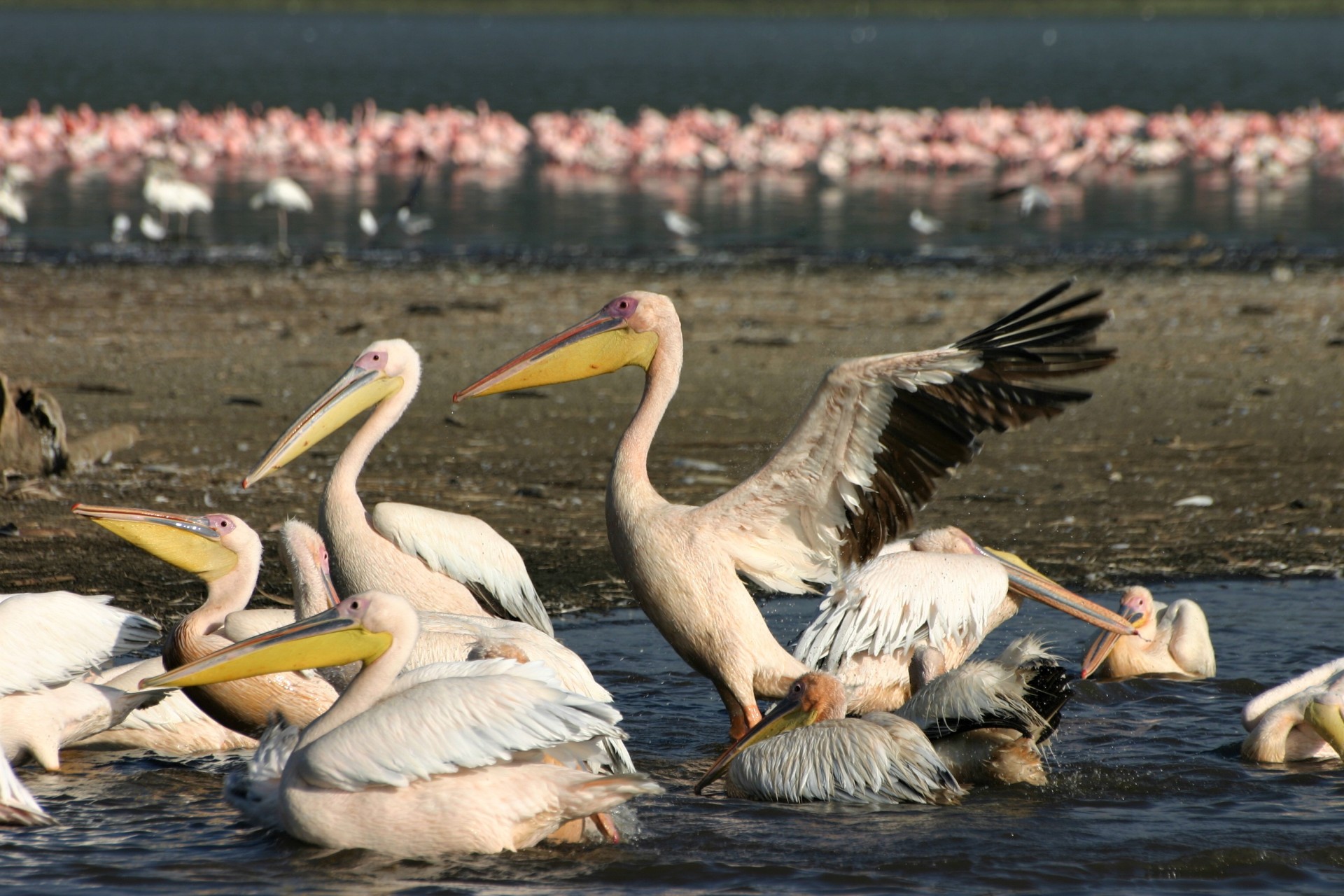 Tanzania