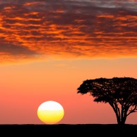 Tramonto africano