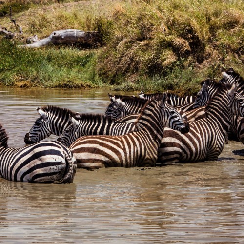 Tanzania