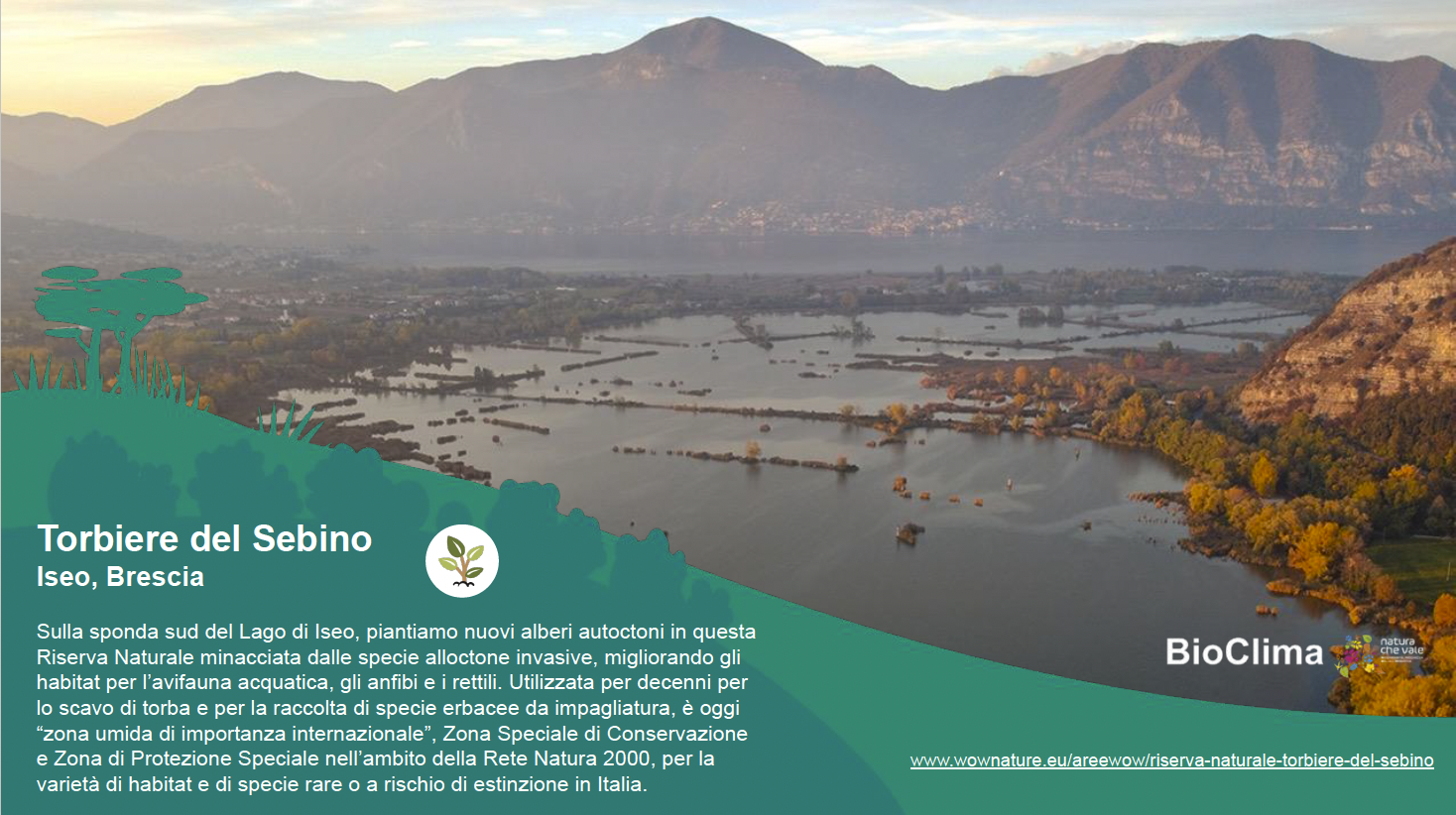 Torbiere del Sebino 