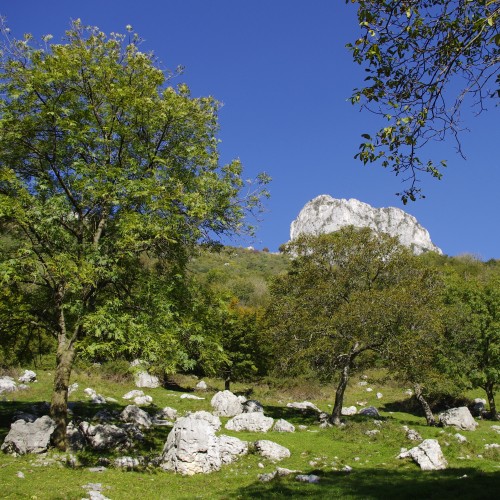 Corni di Canzo