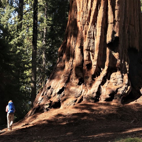 California