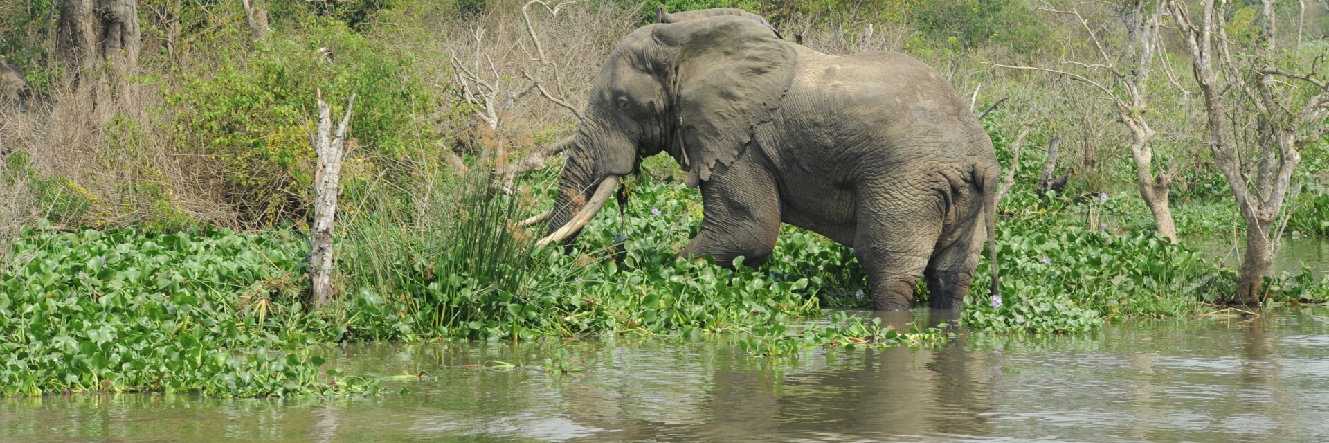 Uganda