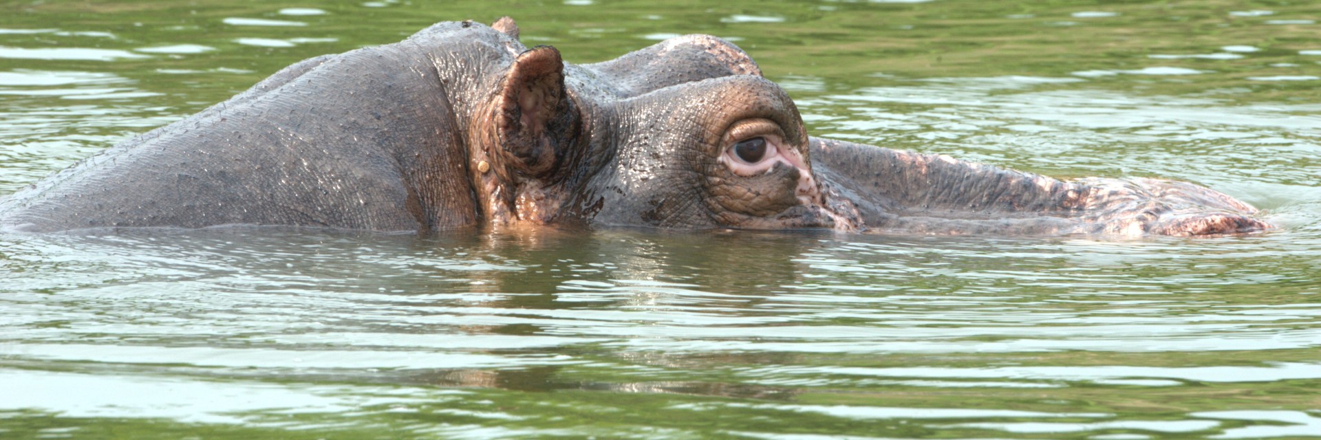 Uganda