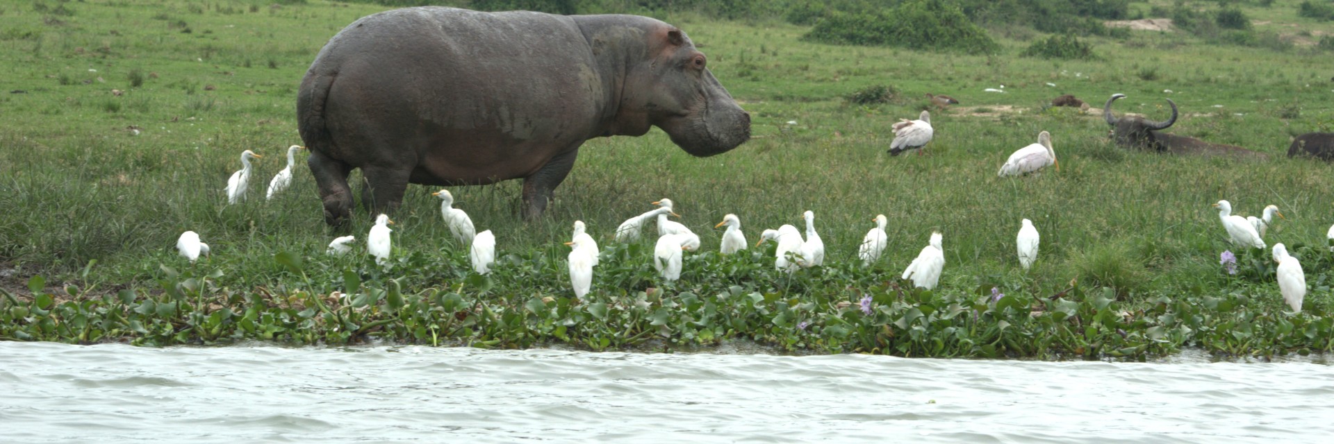 Uganda