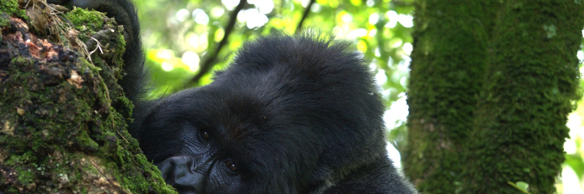 Uganda