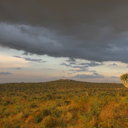 Uganda tramonto