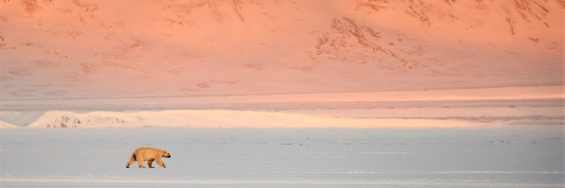Svalbard invernale