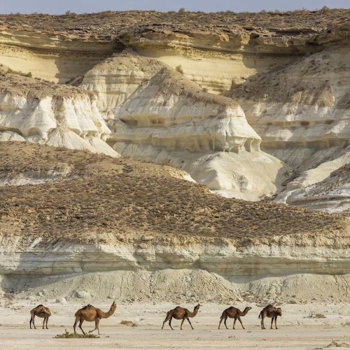 Deserto (Turkmeno)