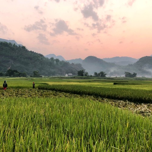 Vietnam Nord