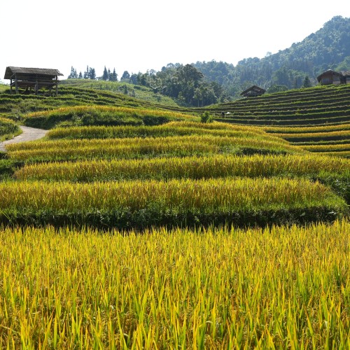 Vietnam Nord