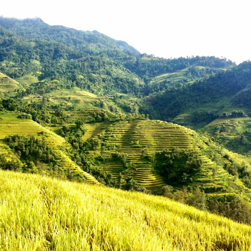 Vietnam Nord