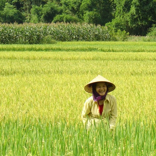 Vietnam Nord