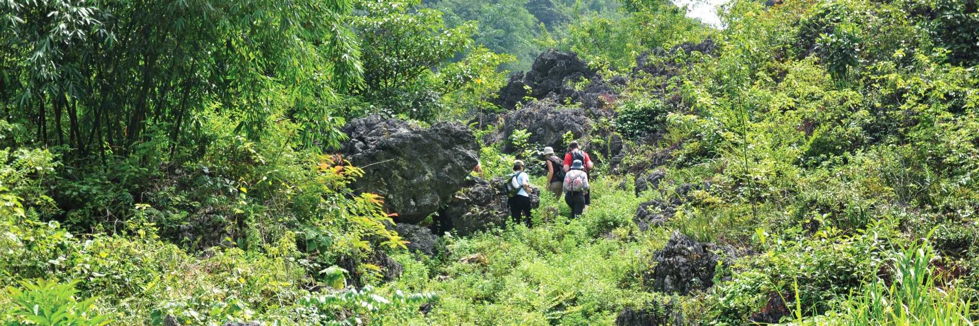 Vietnam trekking