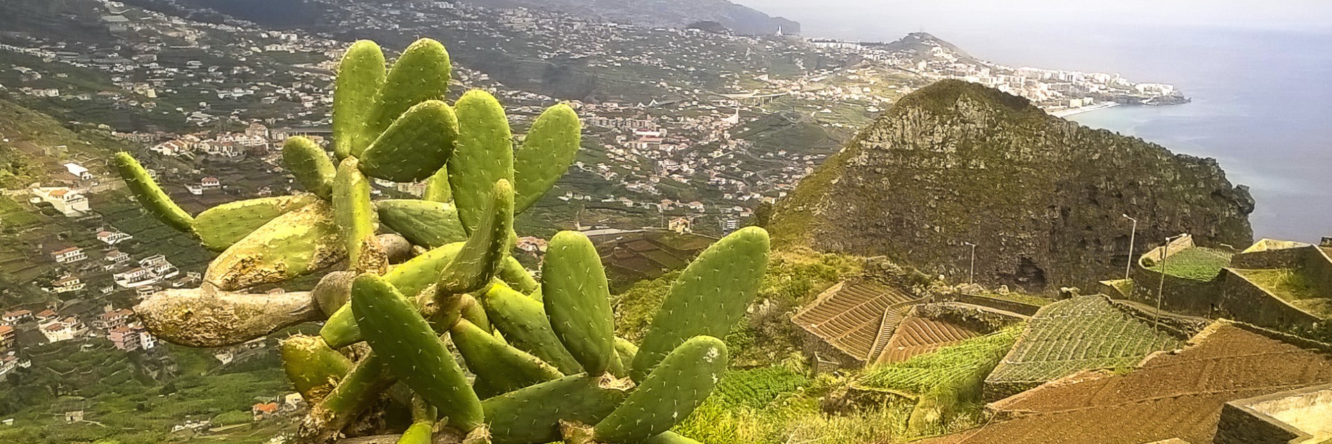 Madeira