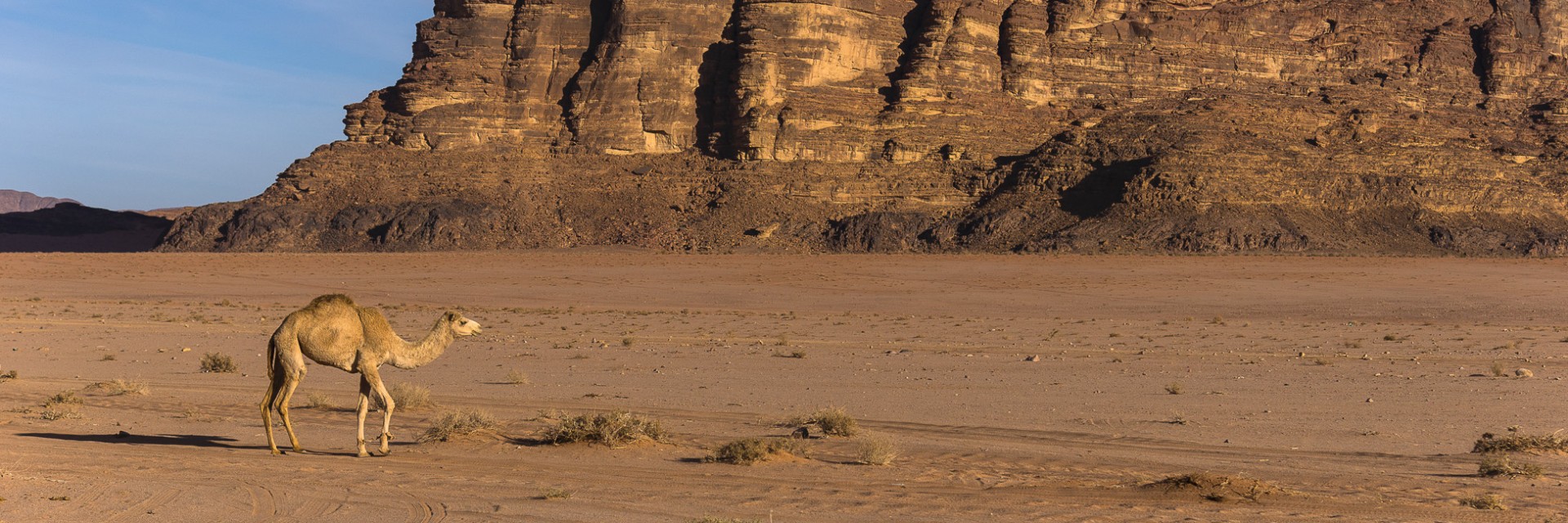 Wadi Rum