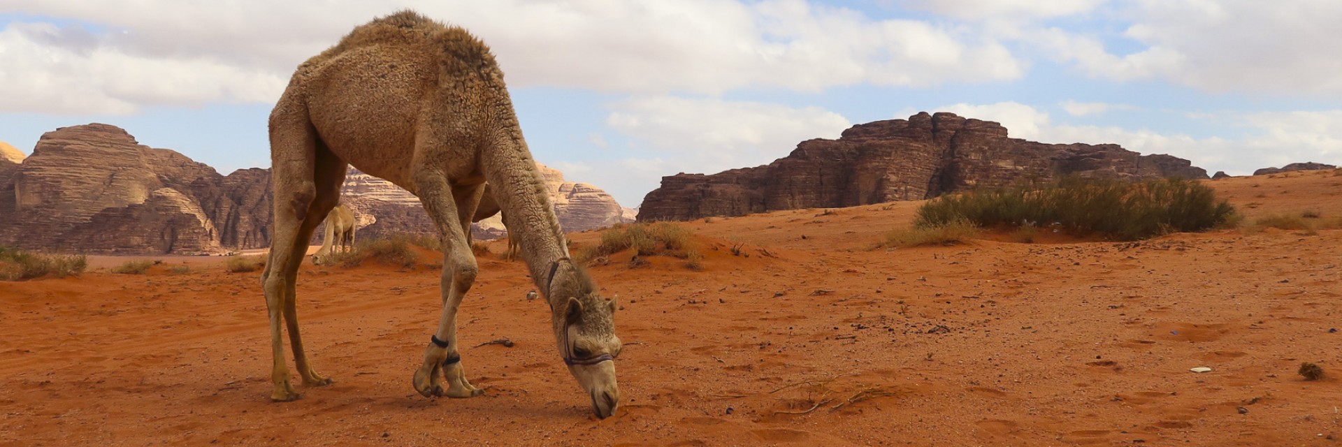 Wadi Rum