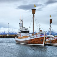 Husavik Whale watching