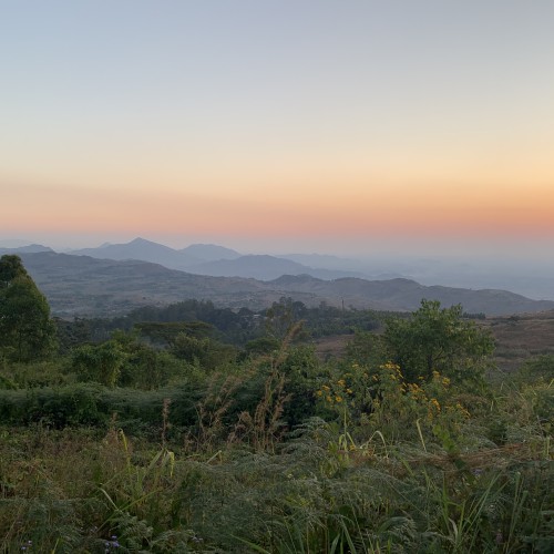 Zomba