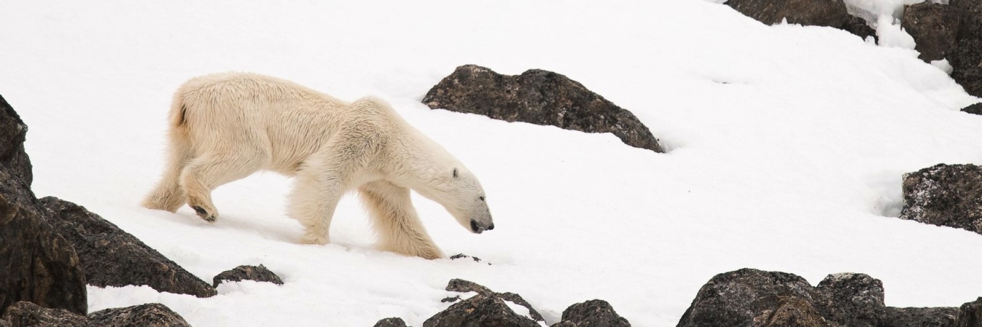 Svalbard