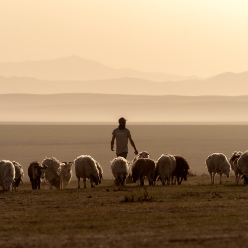 Mongolia