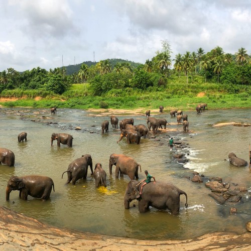 Sri Lanka