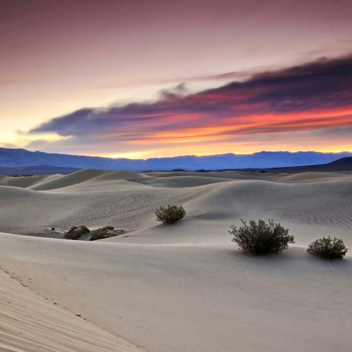 Baja california dune bahia magdalena 2