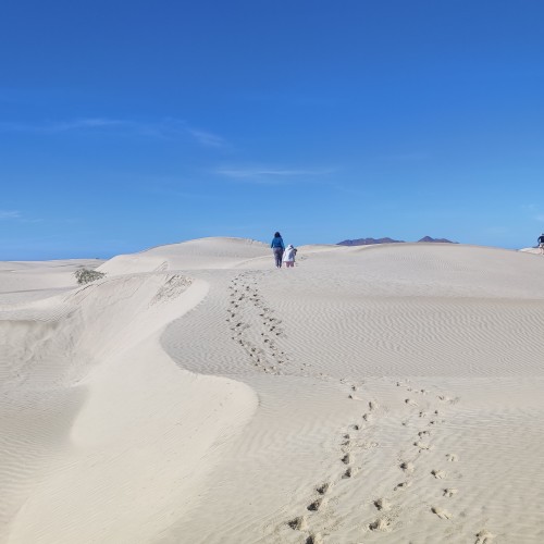 Baja california dune bahia magdalena