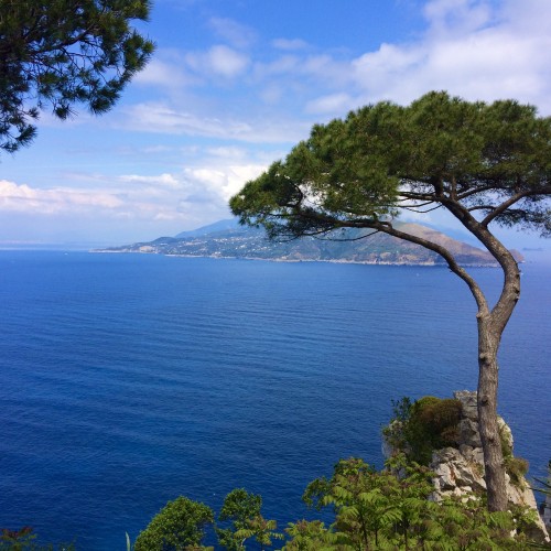 capri