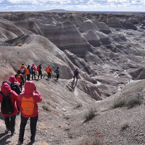 Parco Nazionale di Petrified Forest - Arizona U.S.A.