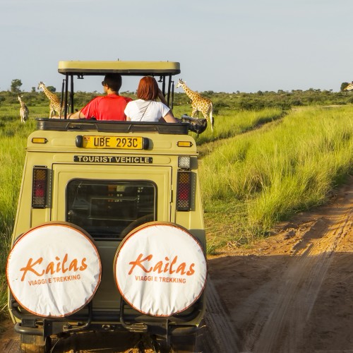 Uganda - Murchison Falls National Park