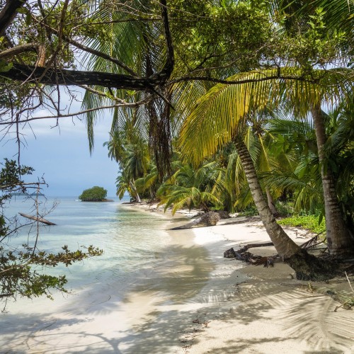 Caraibi