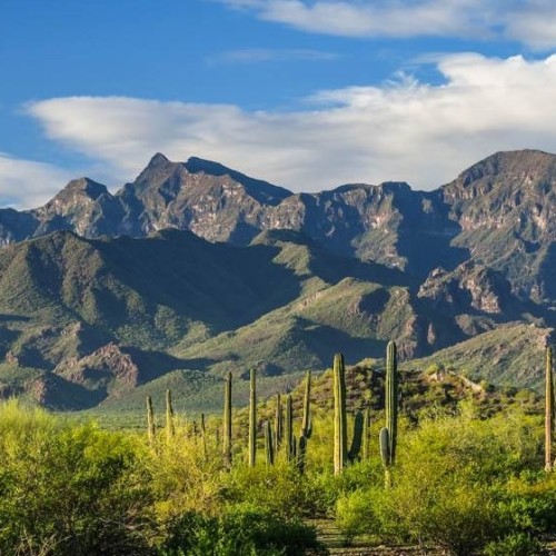 Baja california Sierra Giganta