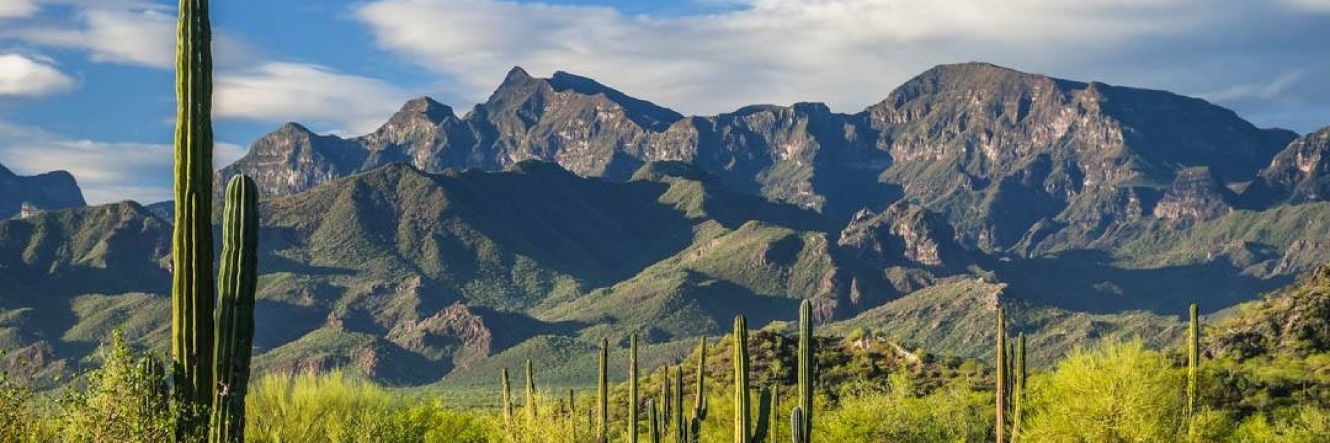 Baja california sierra giganta